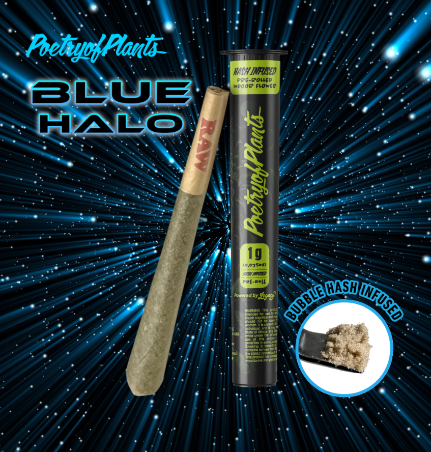 Photograph of product: Pre-Roll au chocolat Infused Blue Halo | 1g