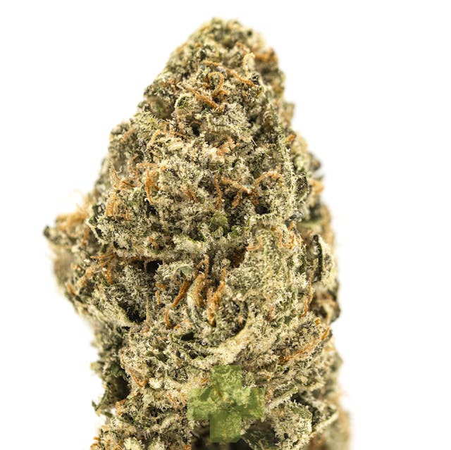 Photograph of product: La Neta, GH - Eighth