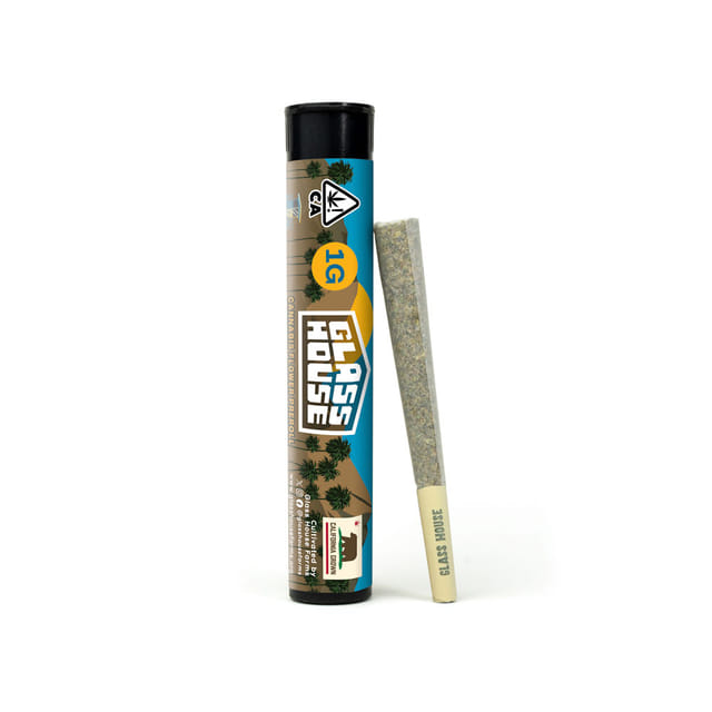 Photograph of product: Pink Cookies 1g Hybrid Preroll - 