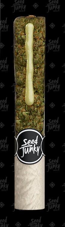 Photograph of product: Gas Face 1.5g Exotic au chocolat Hole by Seed Junky