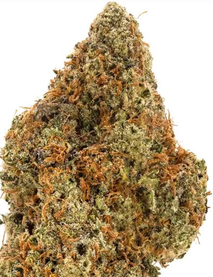 Photograph of product: Lemon Lime Haze Buds - 3.5g