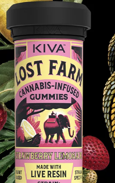 Photograph of product: Strawberry Lemonade x Lemon OG Haze 100mg