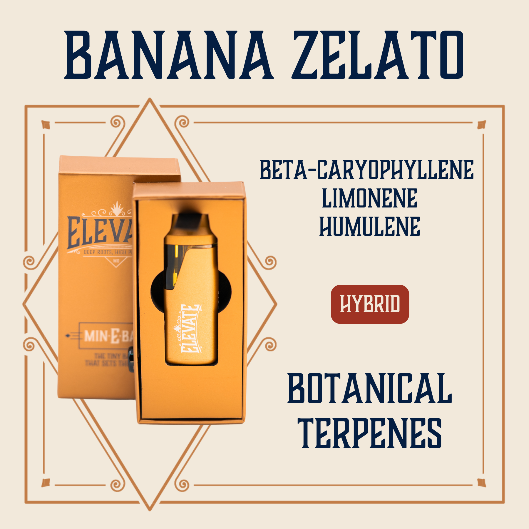 Photograph of product: Banana Zelato Botanical Min-E-Bar Vape