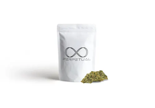 Photograph of product: RS 11 (H) - Pre-Ground (28g) - Perpetual