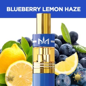 Photograph of product: DIME: Dispo. Blueberry Lemon Haze