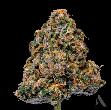 Photograph of product: Speakeasy Flower 3.5g (S) 00355