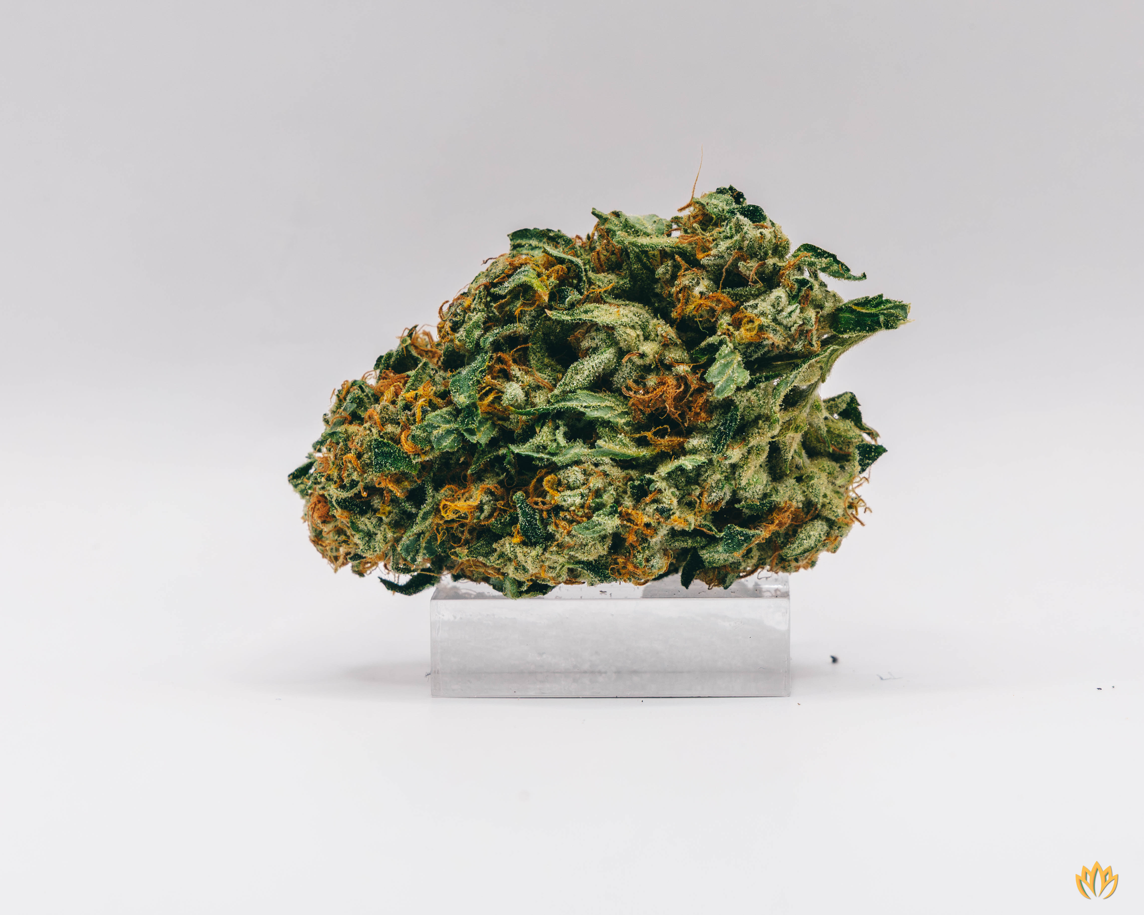 Photograph of product: Euphoria - 3.5g