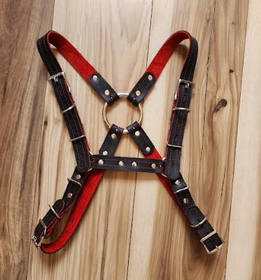 Photograph of product: H-Harness