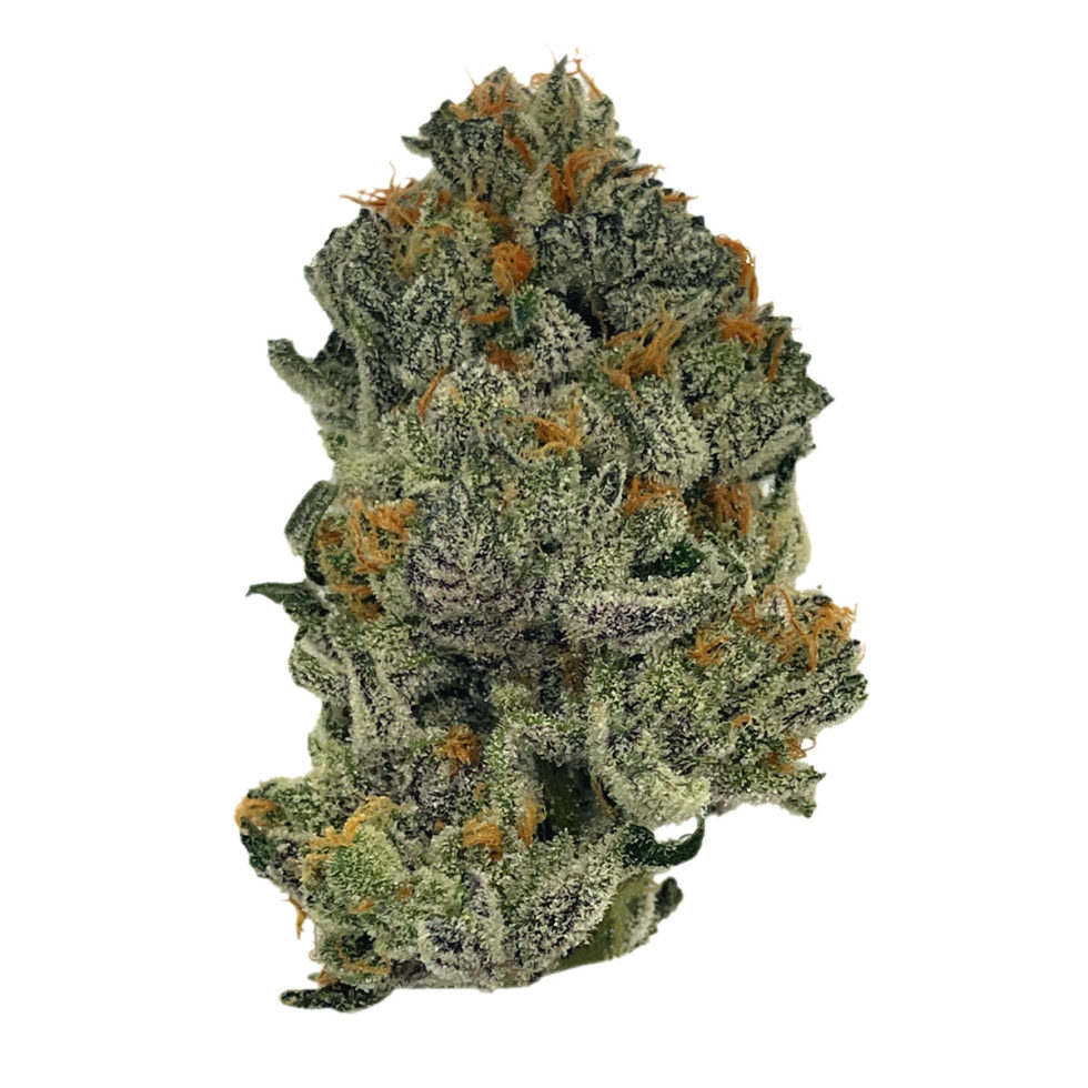 Photograph of product: Glitter Bomb Flower - 3.5g