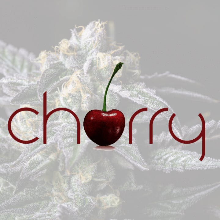 Photograph of product: Colorado Cherry - Toffee( Top Shelf Plus )