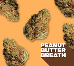 Photograph of product: Curio | Peanut Butter Breath Buds - 14g