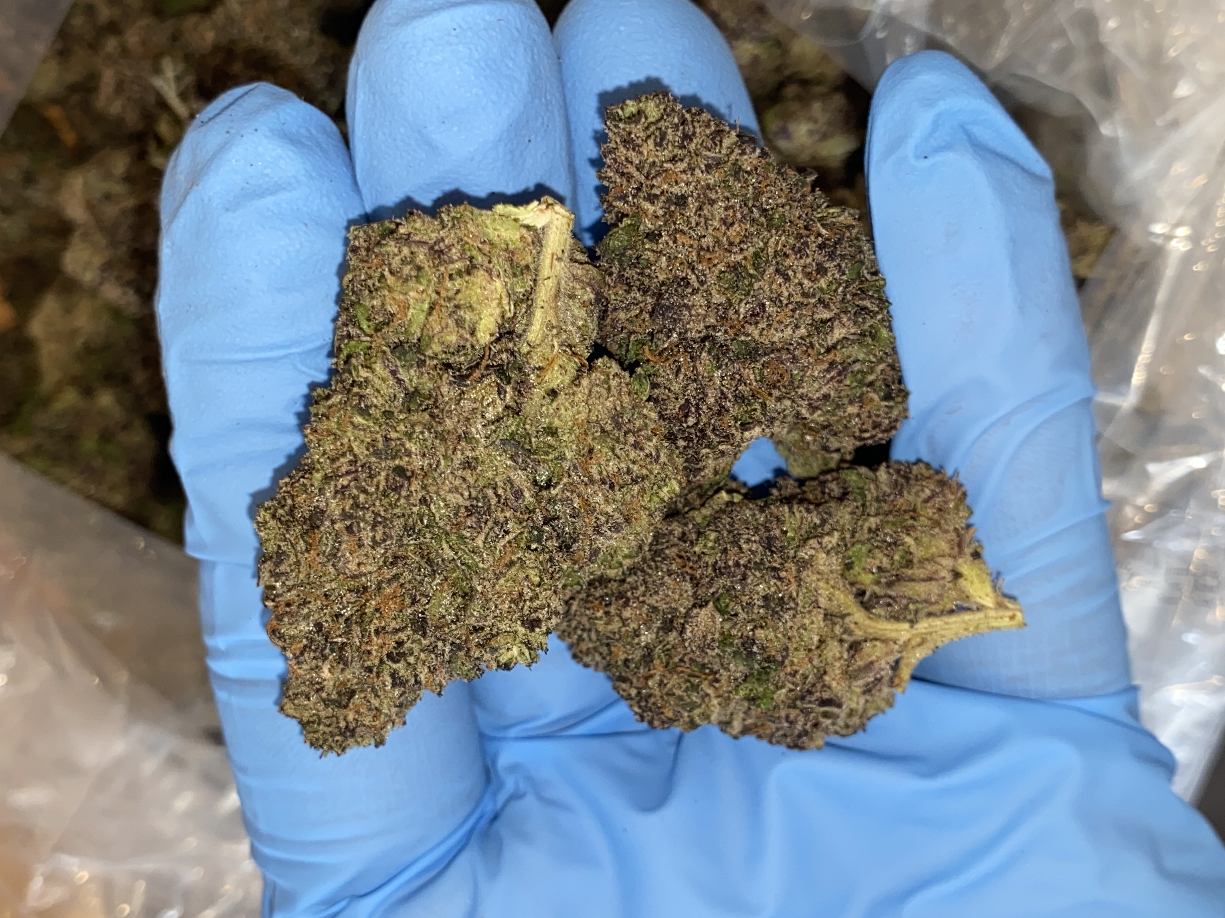 Photograph of product: Sherb Cream Pie | Top Shelf - 28g
