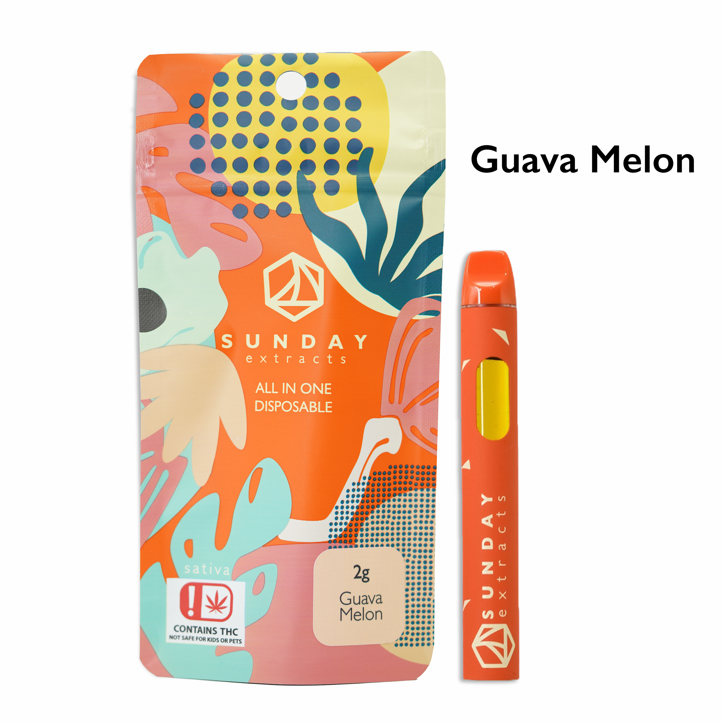 Photograph of product: VAPE SE GUAVA MELON (S) ALL-IN-ONE