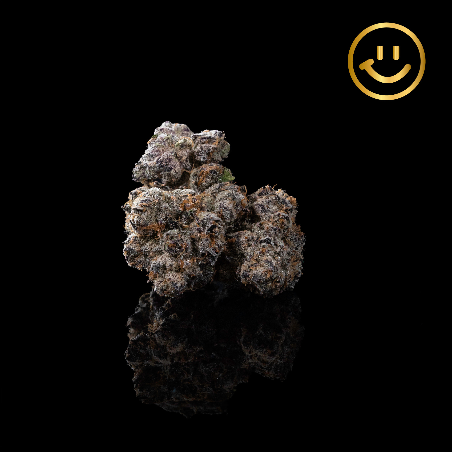 Photograph of product: Resin Ranchers | Runtz | indoor flower
