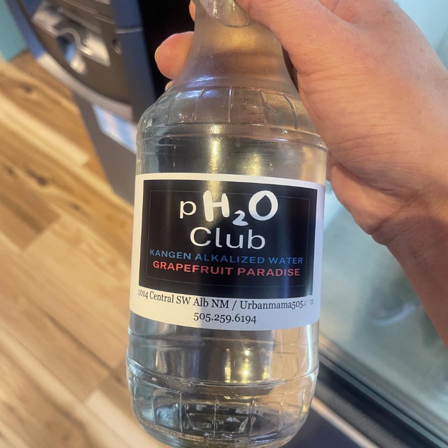 Photograph of product: PH20 Club Kangen Water