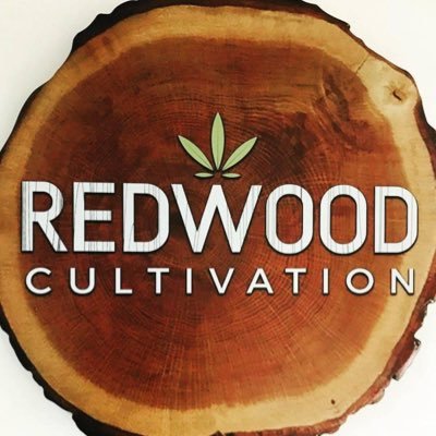 Photograph of product: Redwood | Banana Pie - 1g