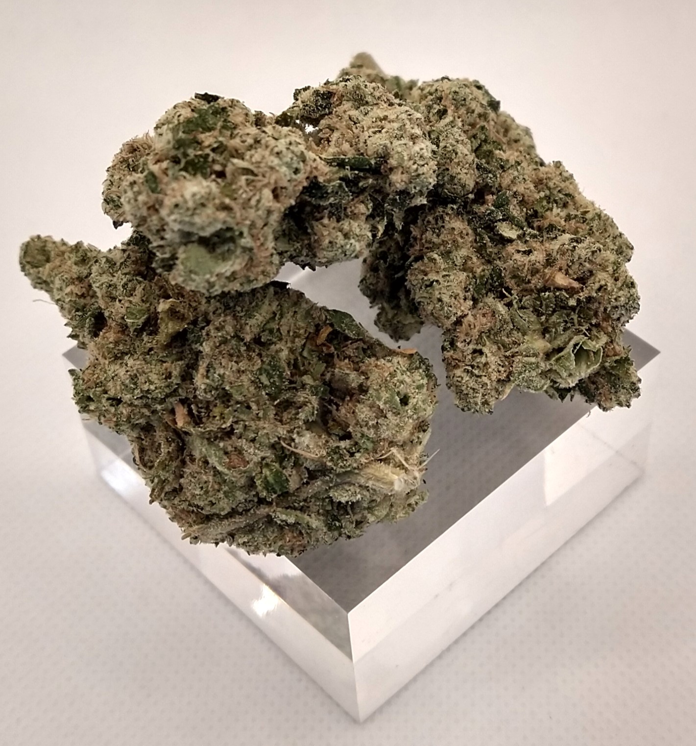 Photograph of product: Ghost Budsters | Death by Boof | Oui'd | Bulk Flower | Bees Knees - 1g