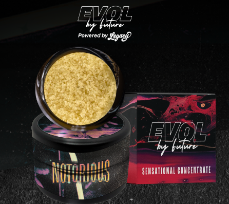 Photograph of product: Notorious #1 Bubble au chocolat 1g