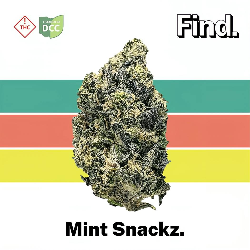 Photograph of product: Mintz Snackz Smalls | 2.83g - 