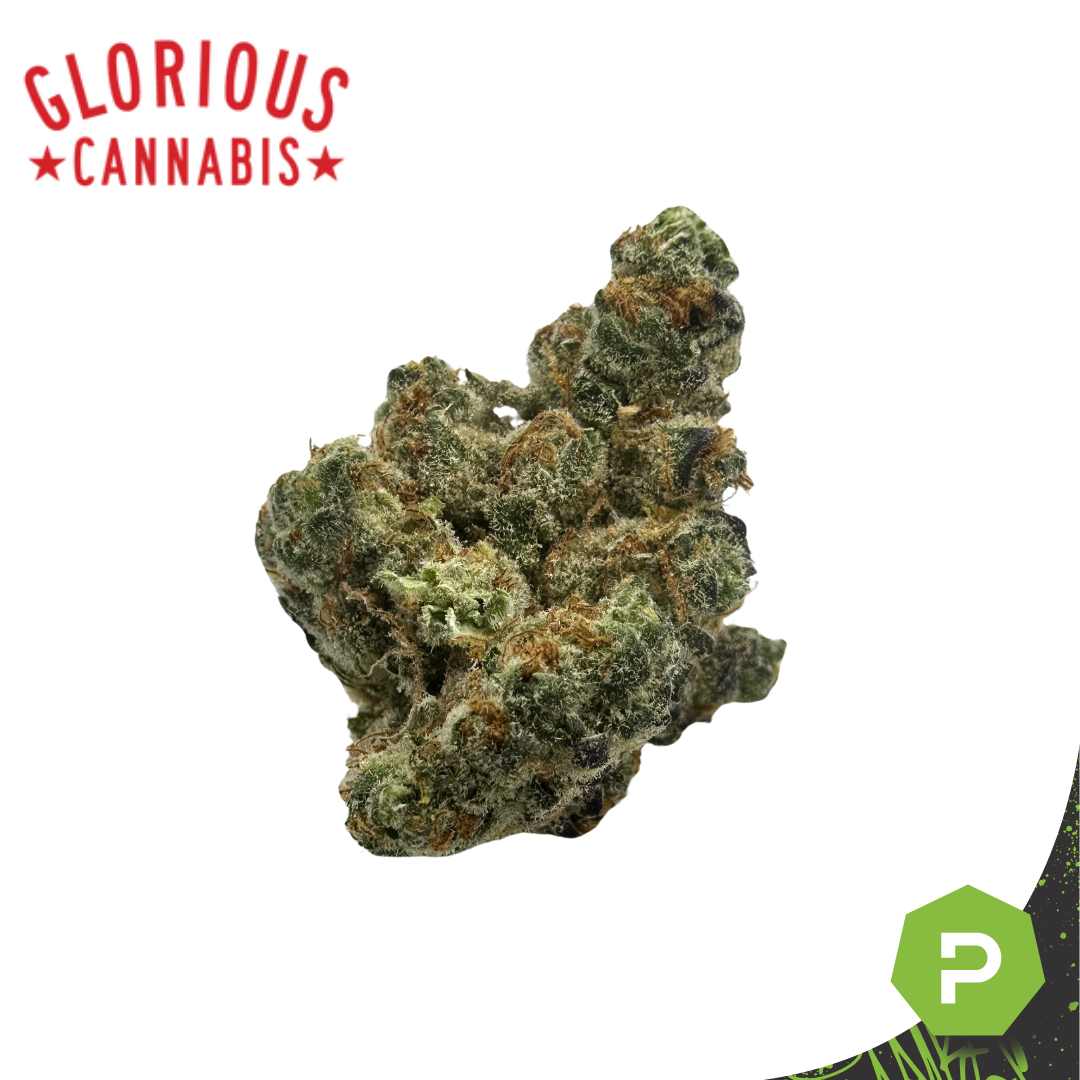 Photograph of product: Glorious | GMO Sherb Crasher Smalls - 1g