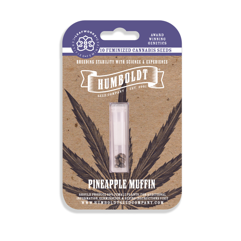 Photograph of product: HUMBOLDT SEED COMPANY - PINEAPPLE MUFFIN FEMINIZED SEEDS 10 PACK
