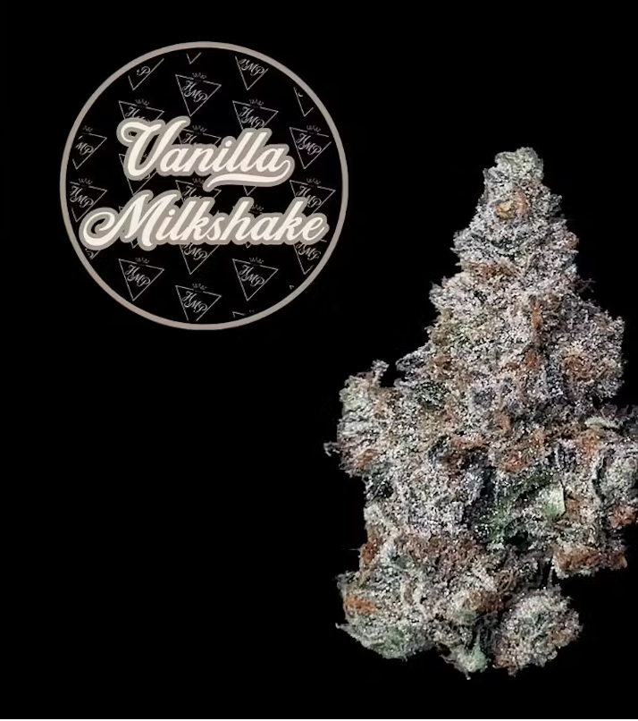 Photograph of product: Vanilla Milkshake - 3.5g
