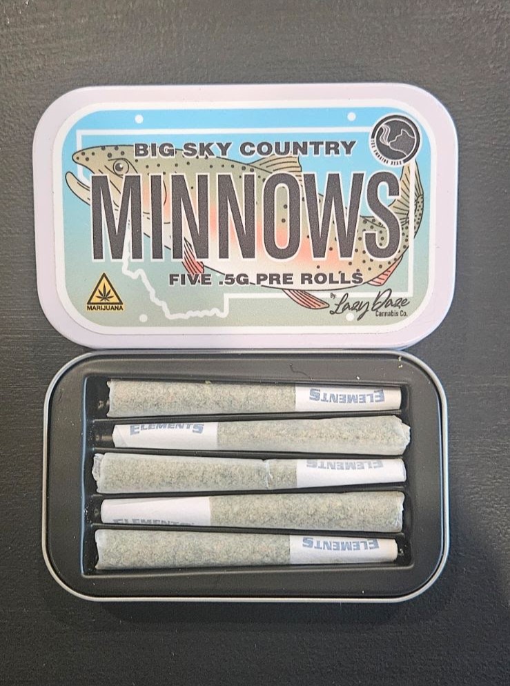 Photograph of product: 2.5g preroll 5 pack- Super Sherbs - Lazy Daze