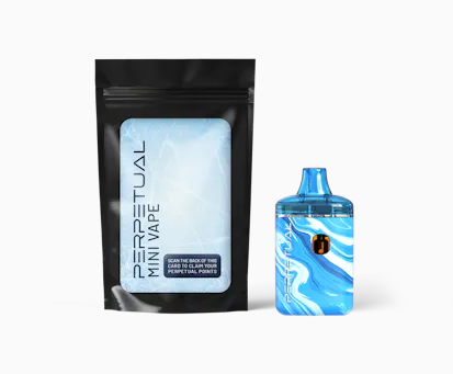 Photograph of product: Spearmint Disposable