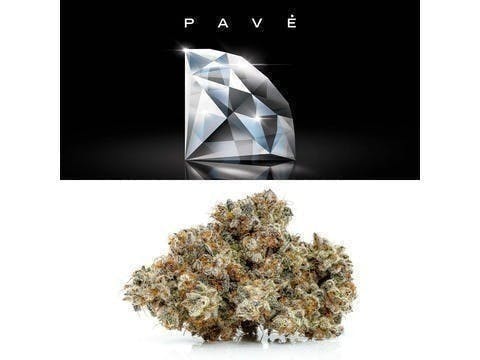 Photograph of product: Cookies - Pav