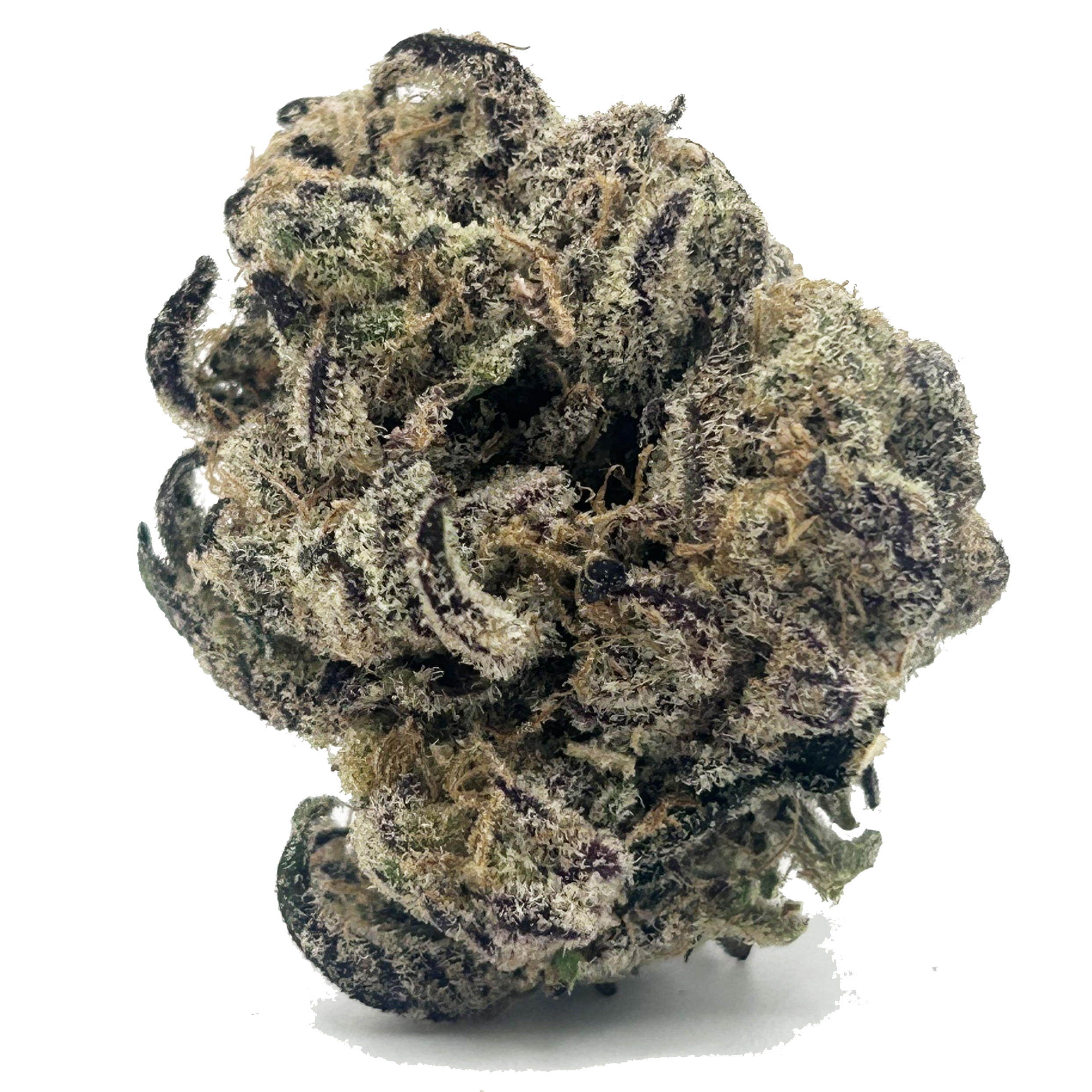 Photograph of product: Doghouse Category 5 Rec - 70g