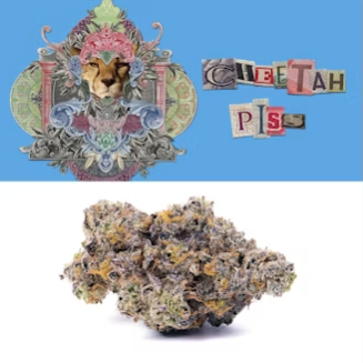 Photograph of product: Cookies Flower 3.5g- Cheetah Piss