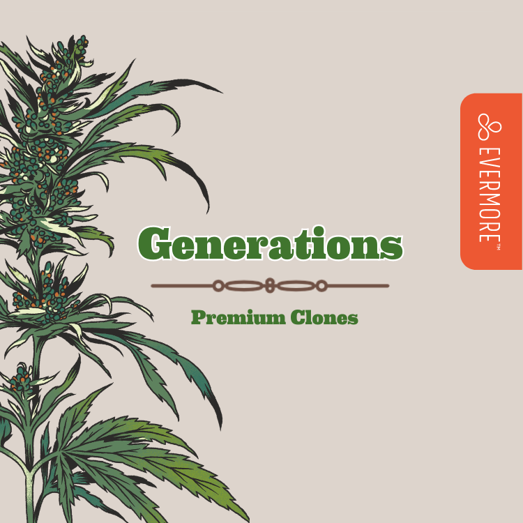 Photograph of product: Cush Live Plant Seedling