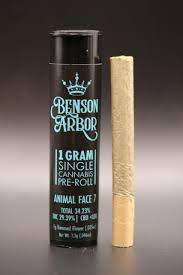 Photograph of product: Chew Toy #13 | Preroll | 1g