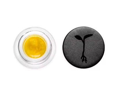 Photograph of product: Slurm Fuel Live Sauce 1g - Live Sauce