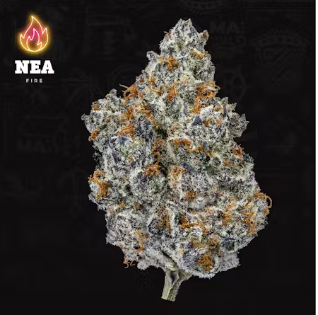 Photograph of product: Mandarin Cookies (TAX INCLUDED) - 14g