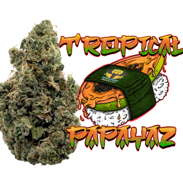 Photograph of product: Tropical Papayaz - 3.5g Flower