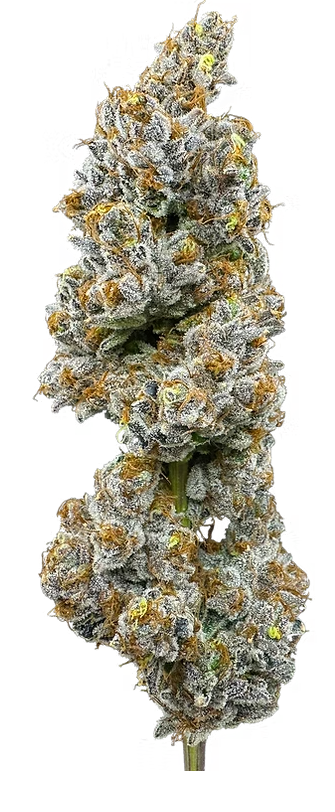 Photograph of Product: Lemon Cake | 3.5g