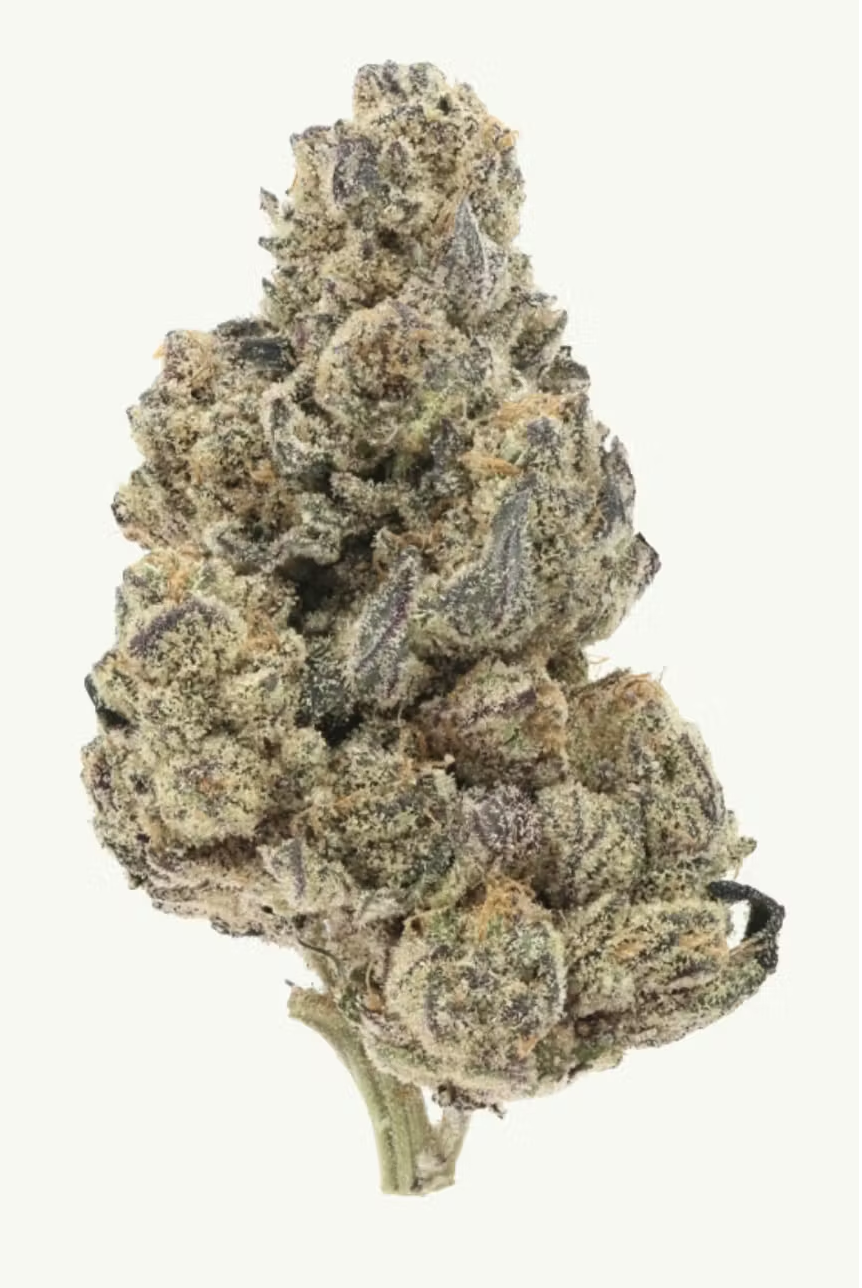 Photograph of product: Fresh | Crooked Kush - 3.5g