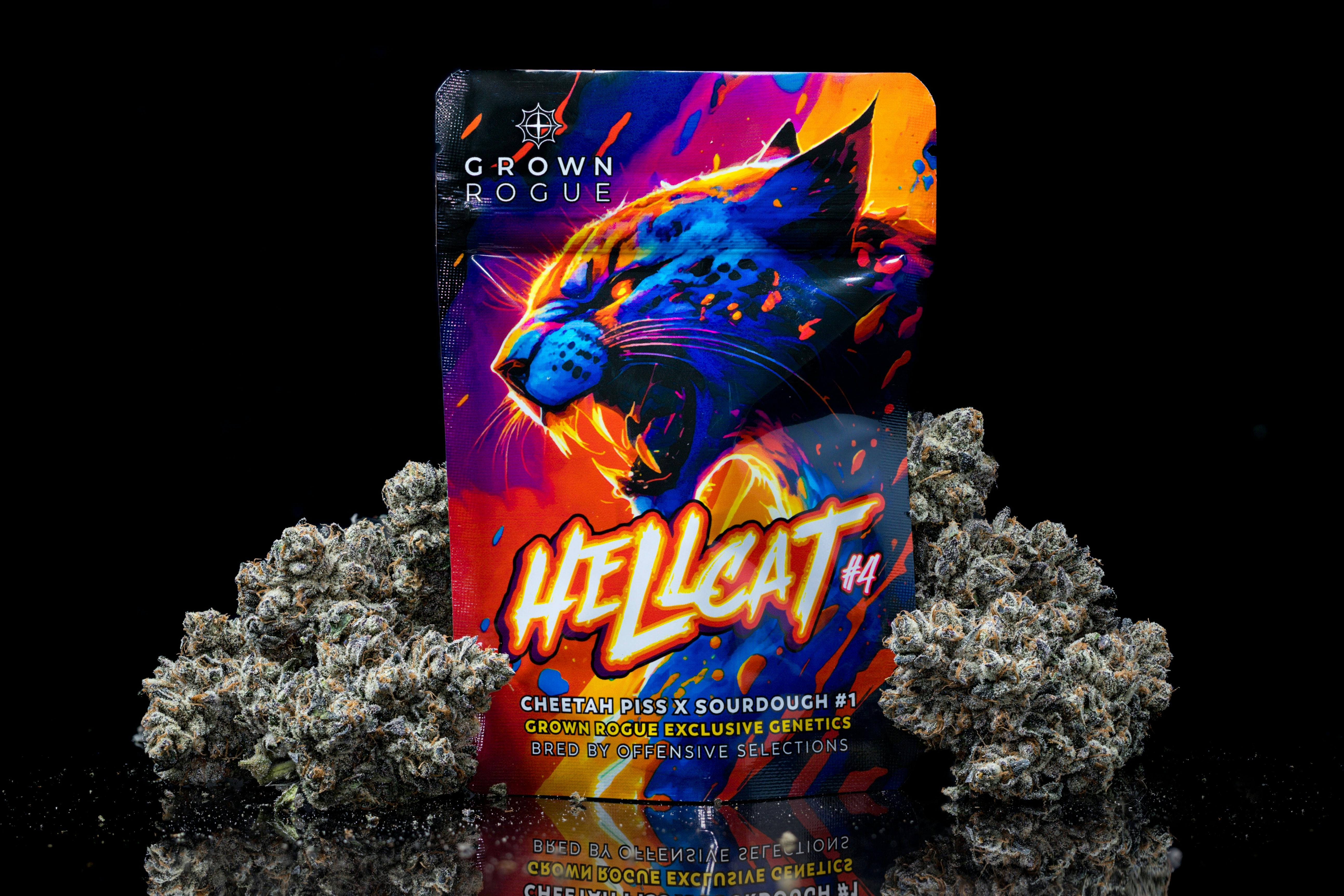 Photograph of product: Grown Rogue Pre-Pack - Hellcat #15