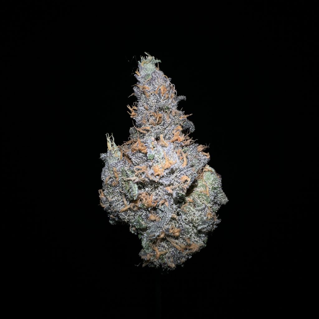 Photograph of product: Night Magic - 3.5g