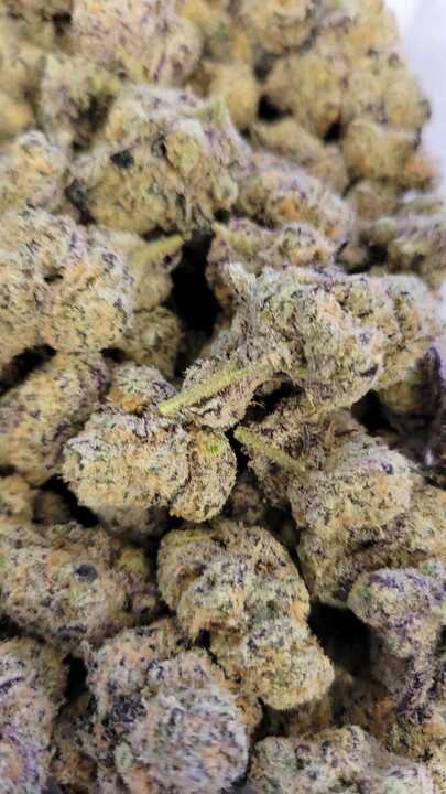 Photograph of product: Platinum Lemon Cherry Gelato (Pacific Grove)