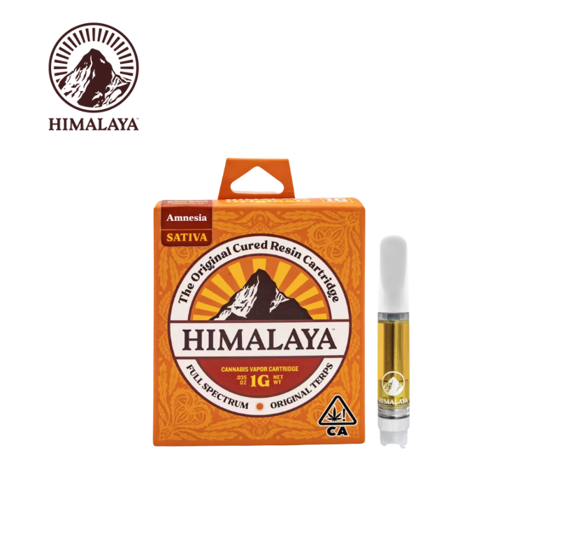 Photograph of product: AMNESIA 1G CARTRIDGE