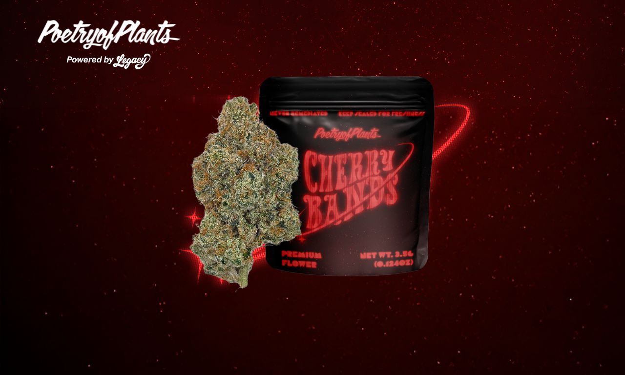 Photograph of product: Cherry Bands Flower 14g