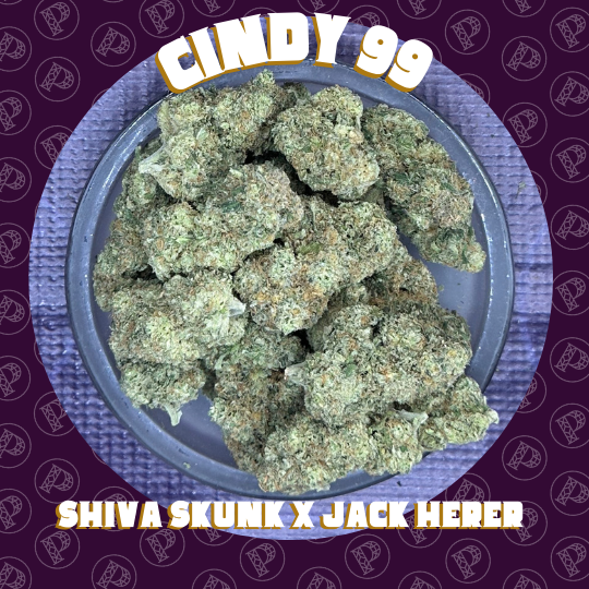 Photograph of product: Oregon Roots - Cindy 99 - Flower - 28g