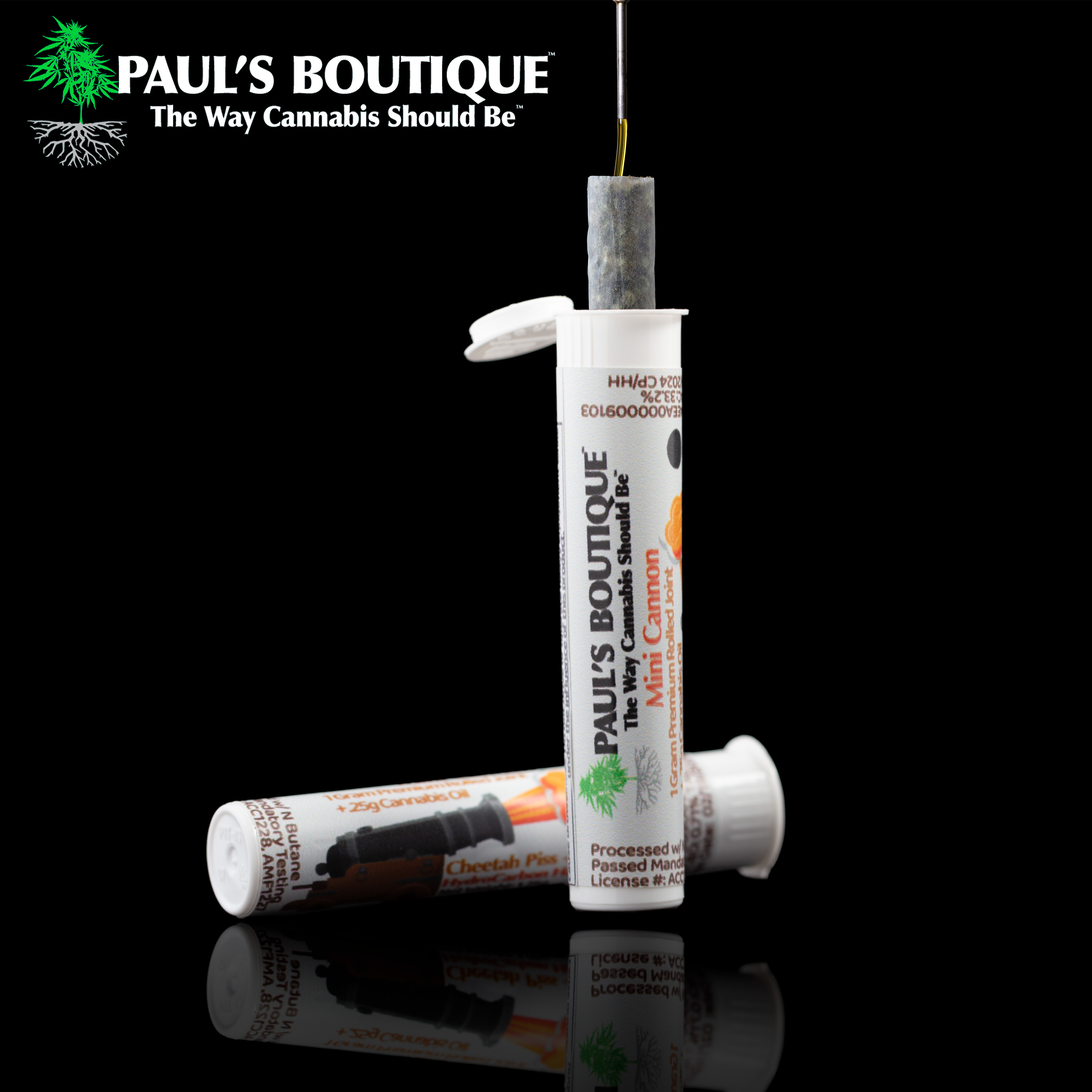 Photograph of product: Paul's Boutique - Blockberry/White Montage Mini Cannon