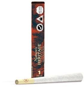 Photograph of product: Orange Chemeleon Bubble au chocolat Infused Pre-Roll 1g (TAX INCLUDED)