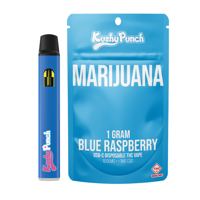 Photograph of product: Blue Raspberry | 1g AIO - 