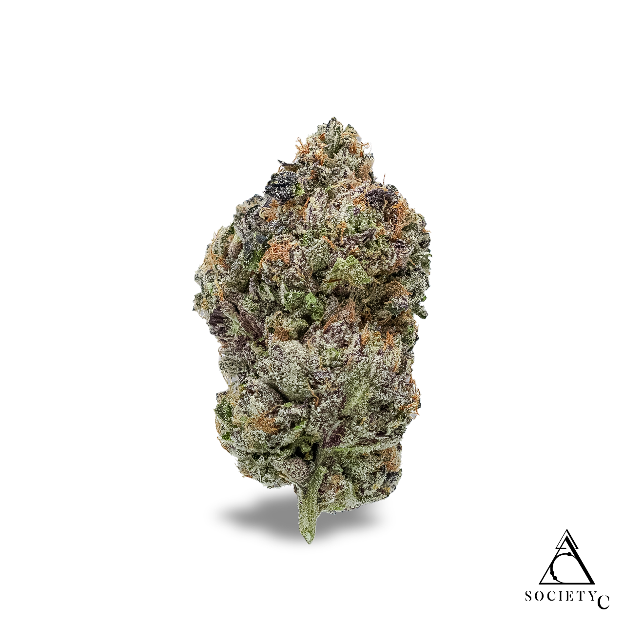 Photograph of product: Society C Bulk | Jealous Cheesecake - Hybrid - 14g