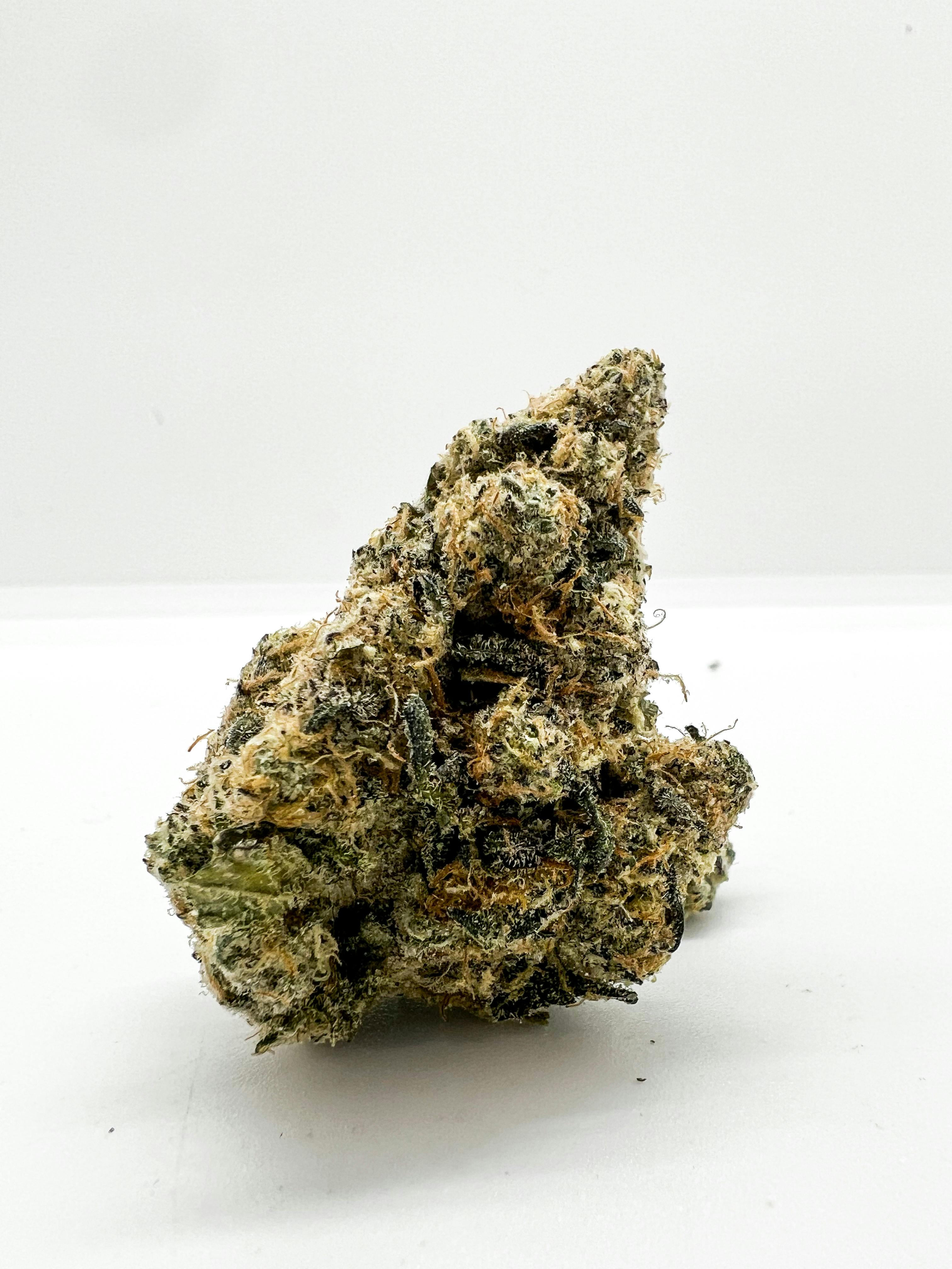 Photograph of product: Don Mega #12 *I*
