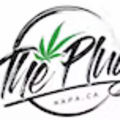 thumbnail-Size Logo for storeLogo: The Plug
